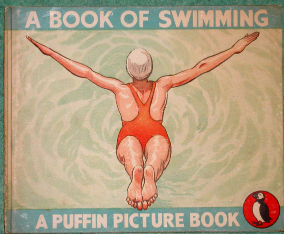 picture puffin swimming