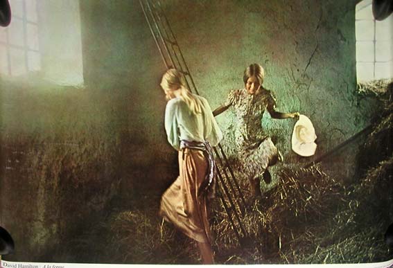 david hamilton poster